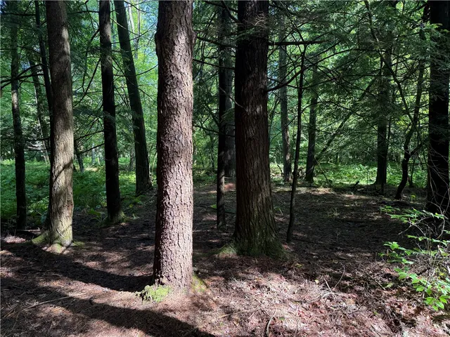 $84,900 | 8722 Highway 417, Genesee, NY 14754