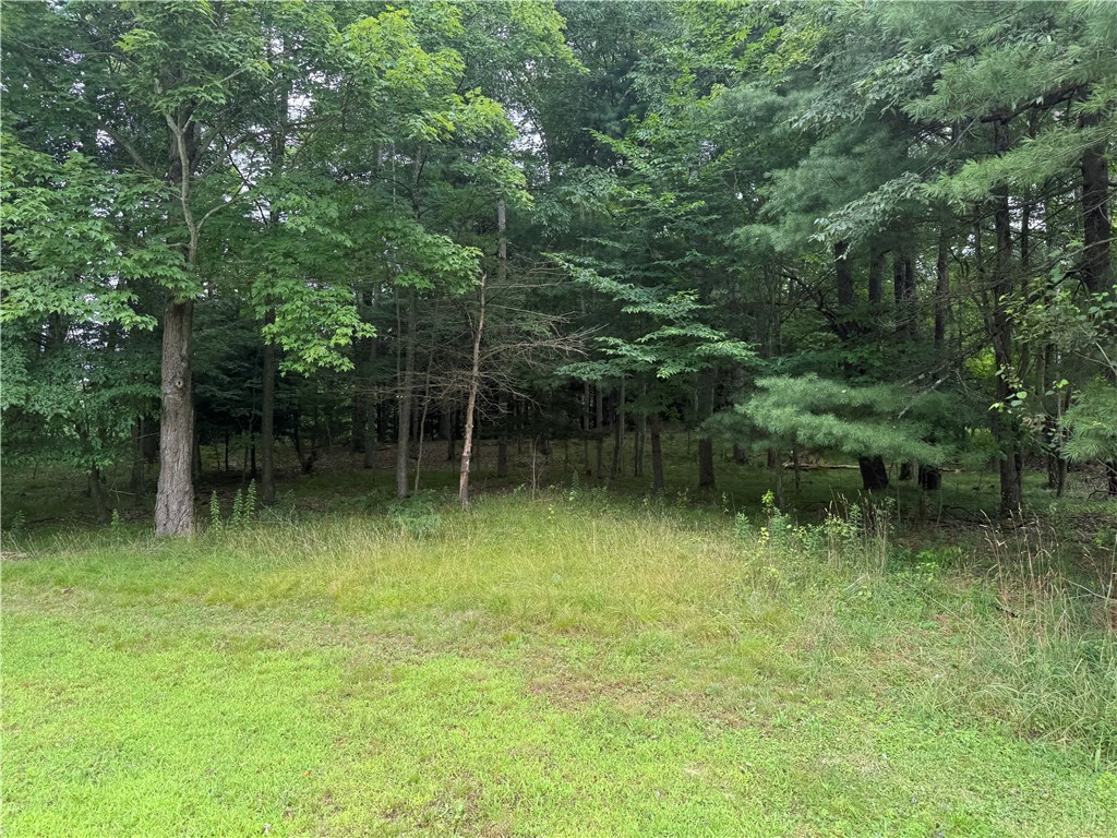 8722 Highway 417 Genesee, NY 14754 - Photo 33 of 45