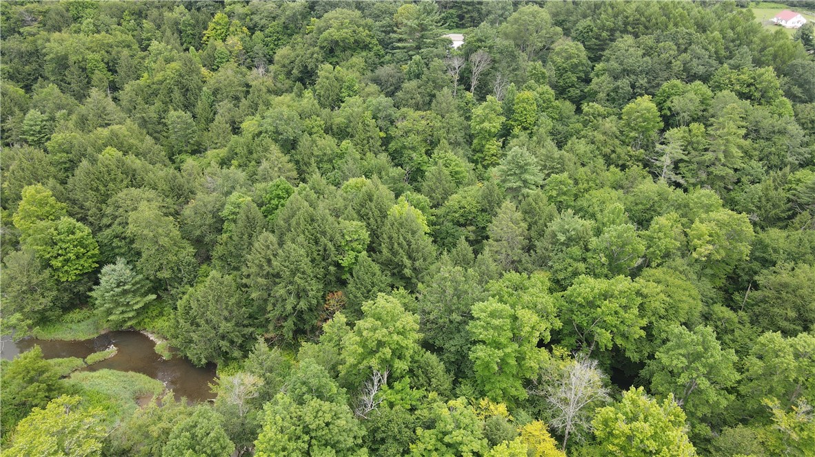 8722 Highway 417 Genesee, NY 14754 - Photo 37 of 45