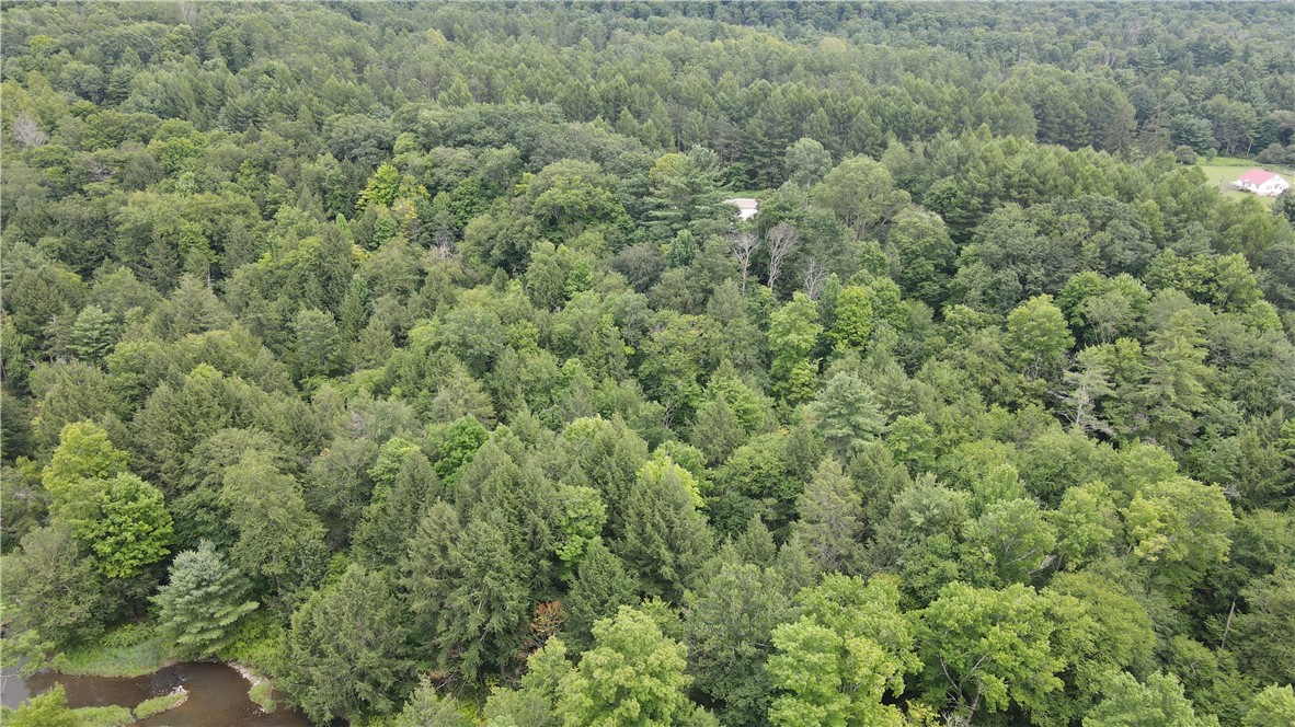 8722 Highway 417 Genesee, NY 14754 - Photo 41 of 45