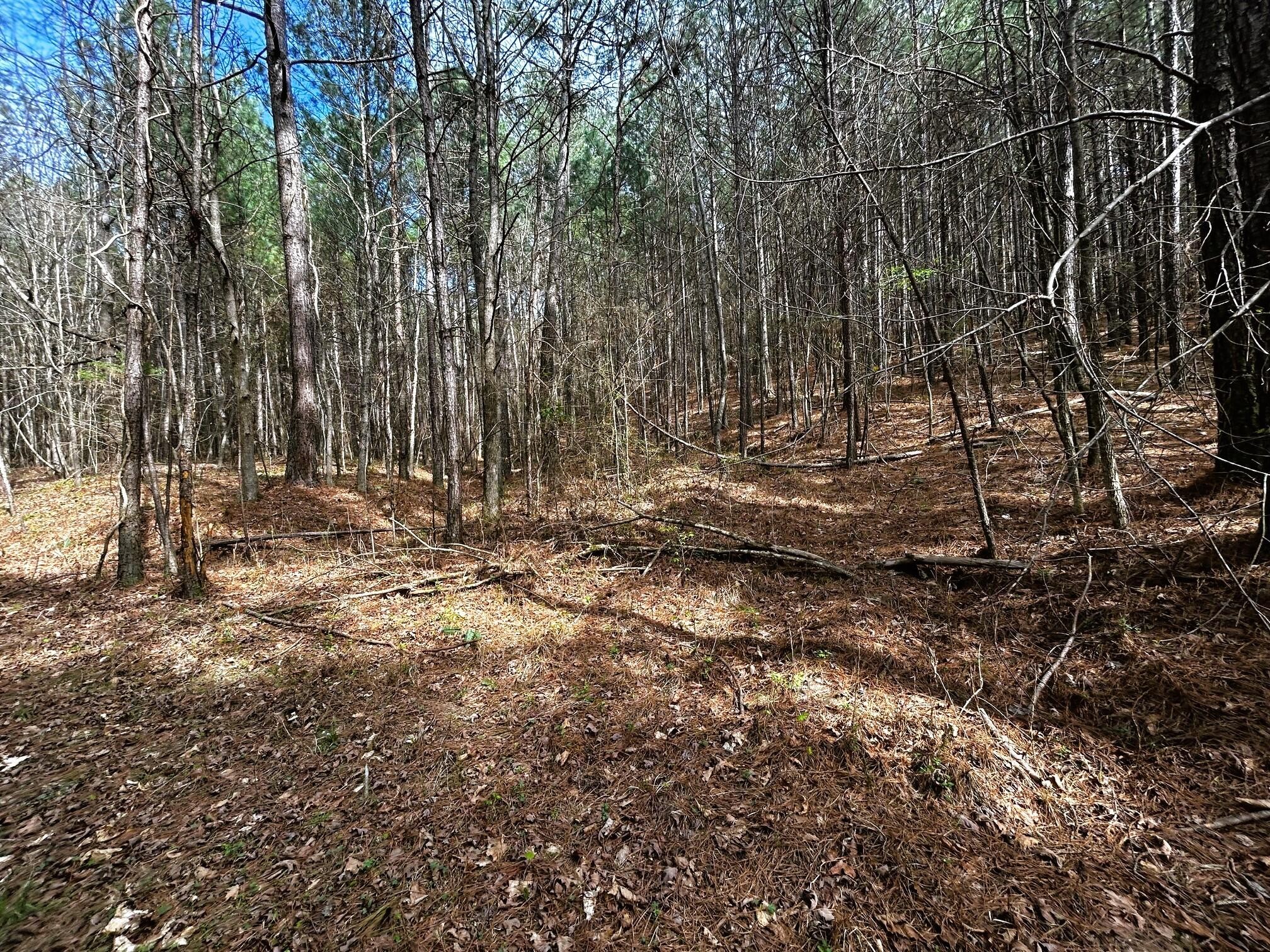 7 Southwest Owl Hollow Road McDonald, TN 37353 - Photo 20 of 32
