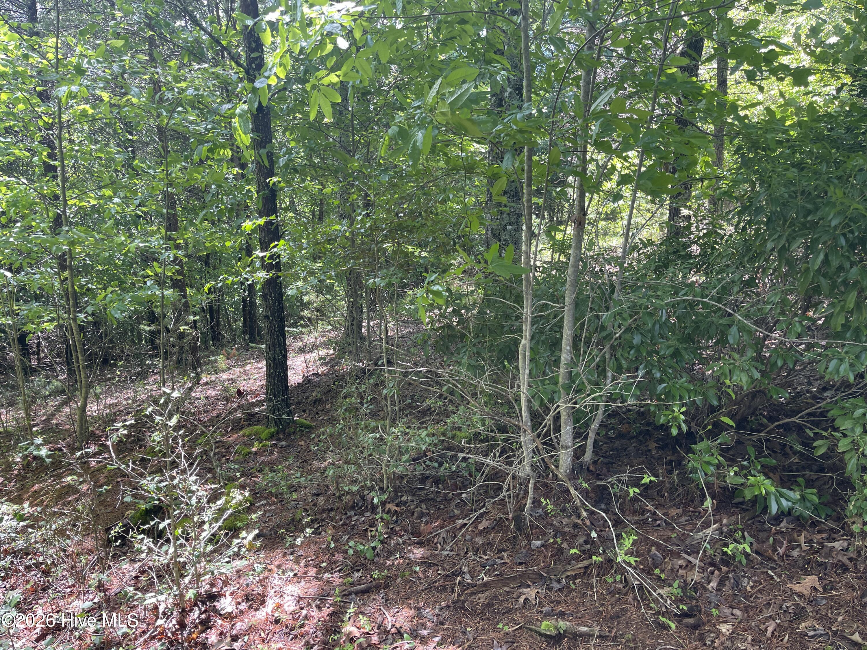 0 River Mountain Road Murphy, NC 28906 - Photo 3 of 6