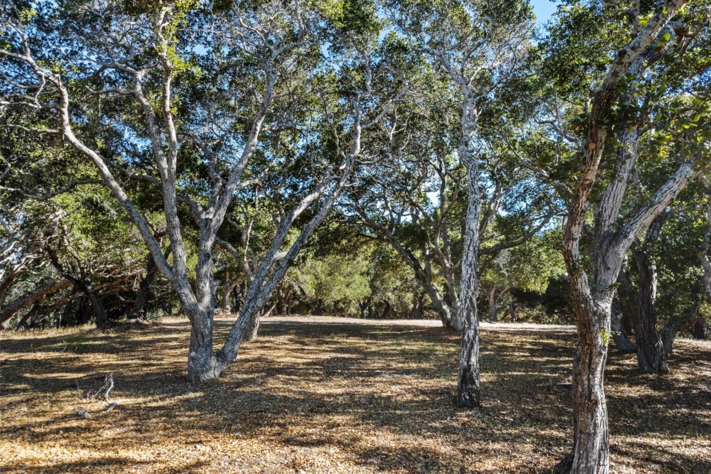 9 Corral Run Carmel, CA 93923 - Photo 14 of 19
