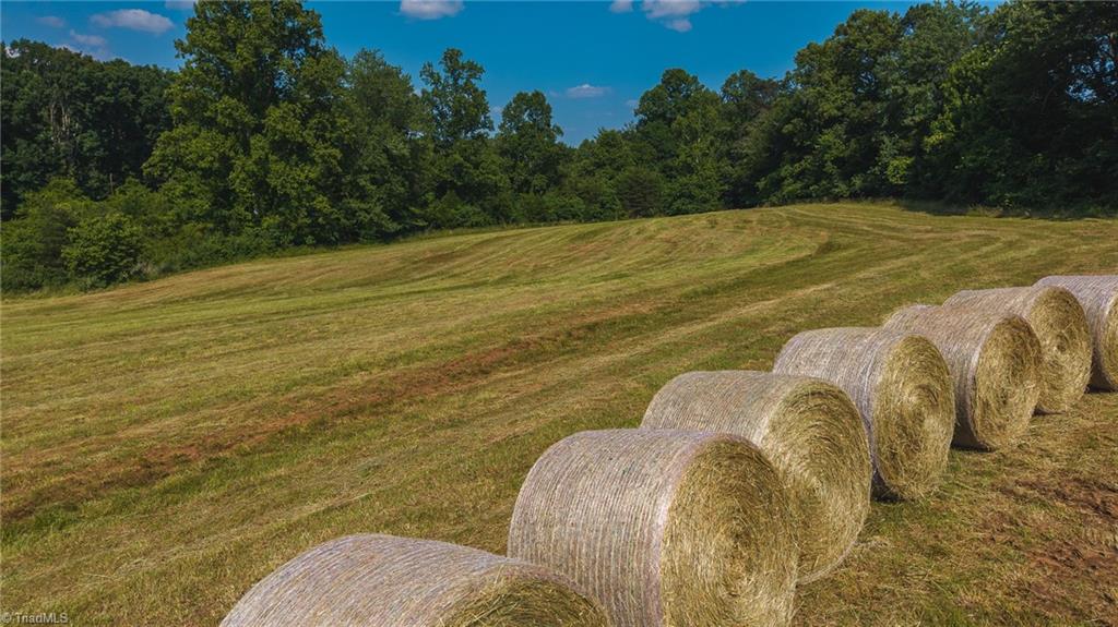 0 Johnson Ridge Road Elkin, NC 28621 - Photo 11 of 23