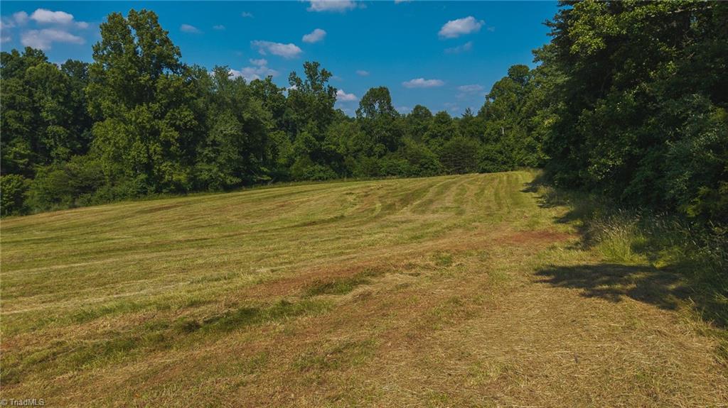 0 Johnson Ridge Road Elkin, NC 28621 - Photo 14 of 23