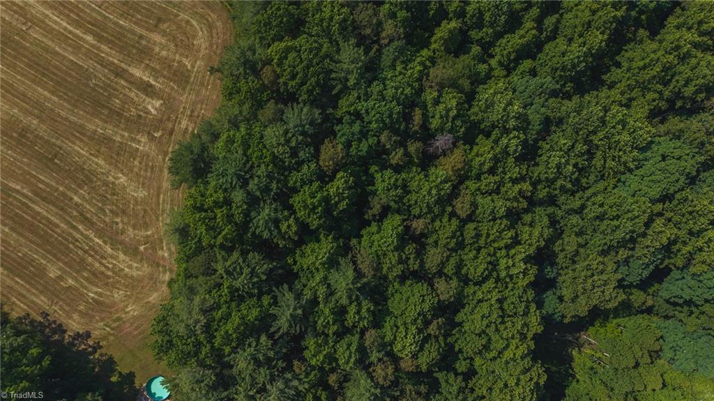 0 Johnson Ridge Road Elkin, NC 28621 - Photo 16 of 23