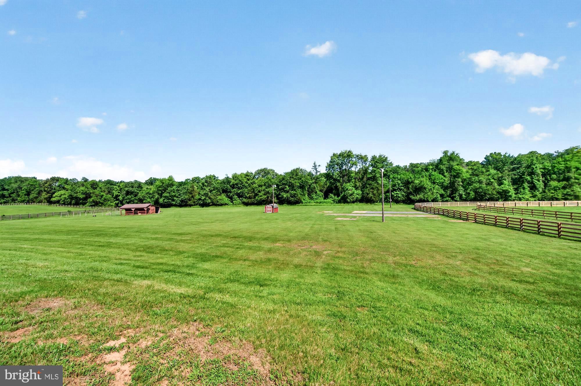 15512 Mount Nebo Road Poolesville, MD 20837 - Photo 12 of 125 Private horse trails at bottom of property