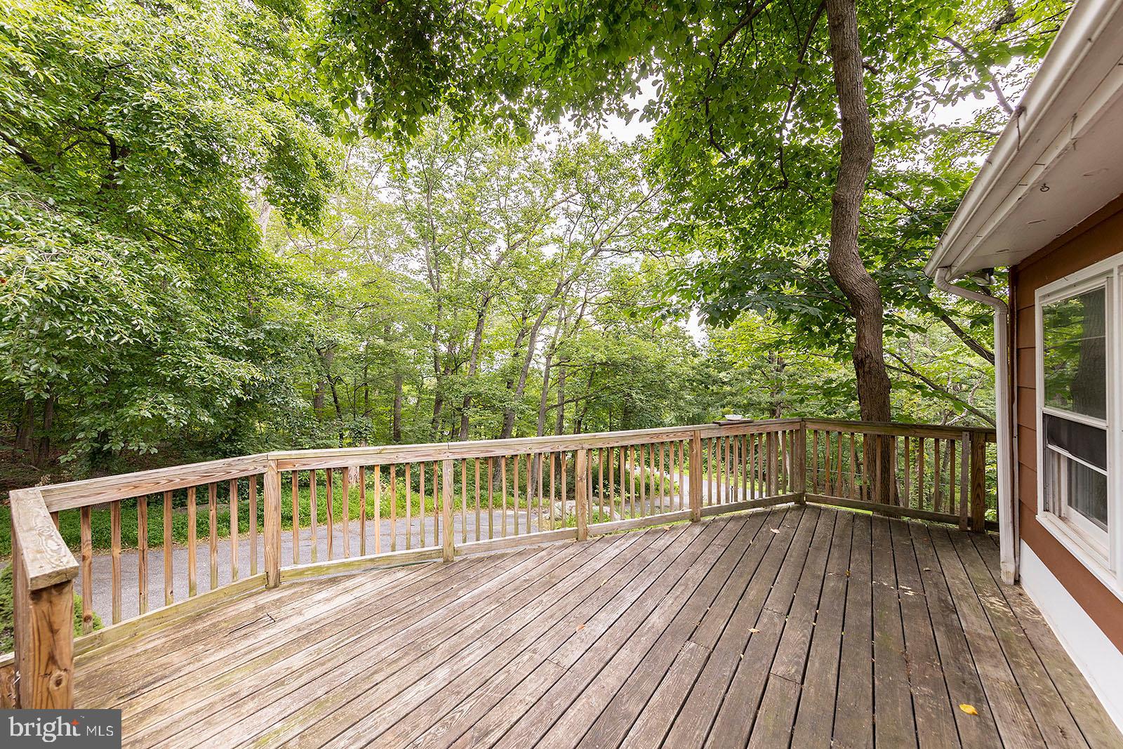 114 Inca Trail Winchester, VA 22602 - Photo 13 of 44 a view of backyard with deck and wooden floor