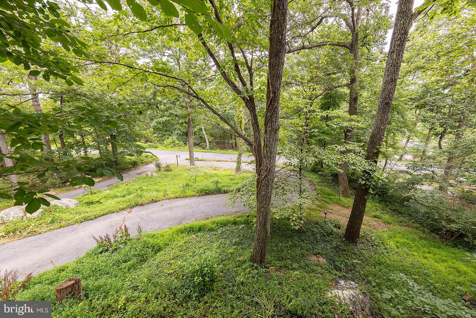 114 Inca Trail Winchester, VA 22602 - Photo 5 of 44 a view of yard with green space