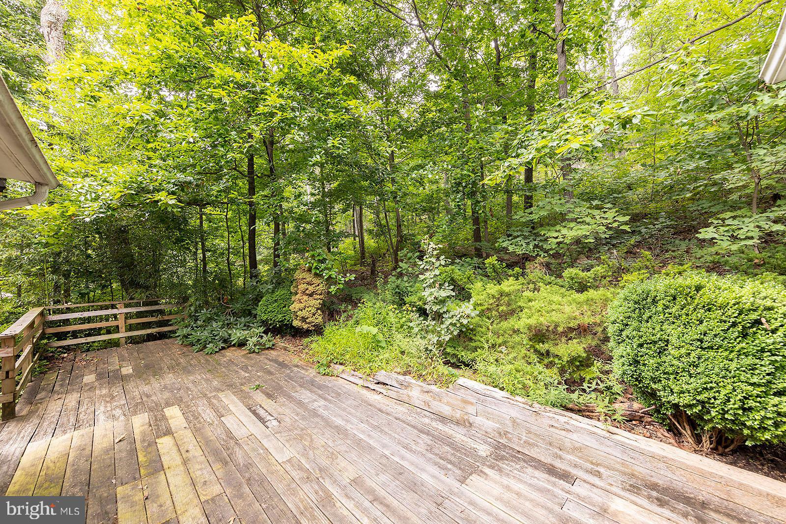 114 Inca Trail Winchester, VA 22602 - Photo 9 of 44 a view of outdoor space with deck and yard