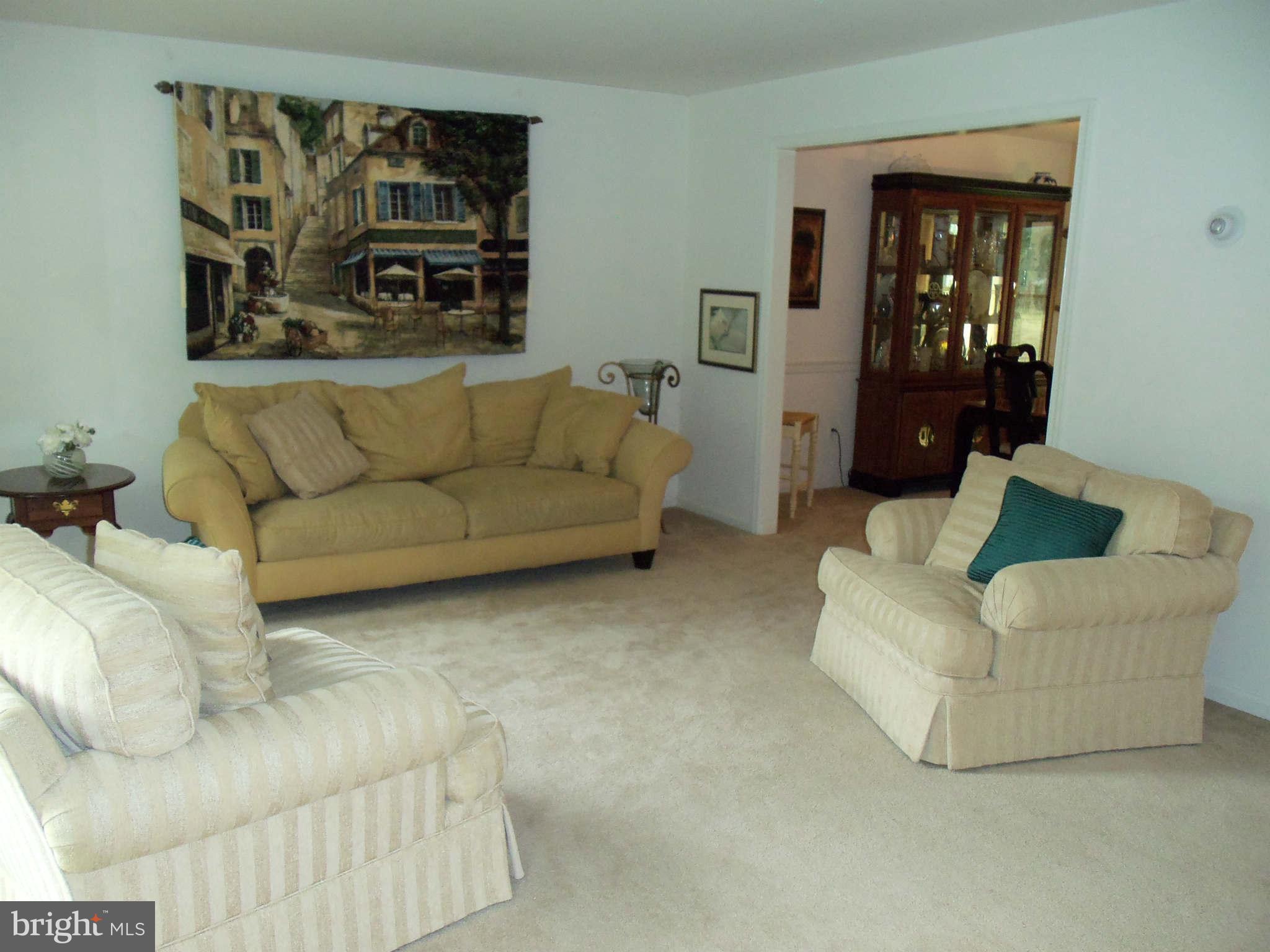 11417 Classical Lane Silver Spring, MD 20901 - Photo 8 of 28 Living Room