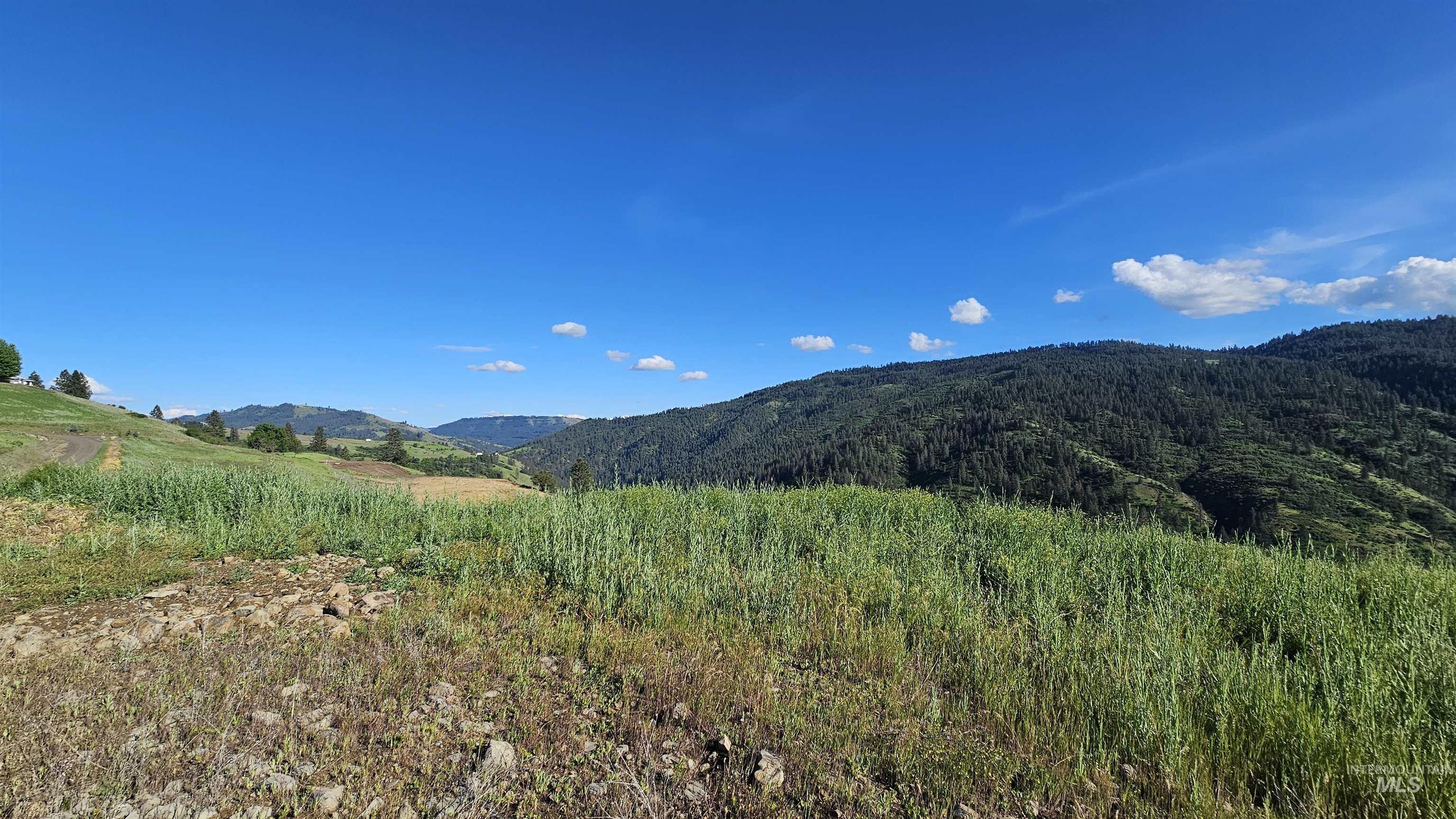 Tbd Lot 5 Tbd Lane Lenore, ID 83541 - Photo 17 of 31