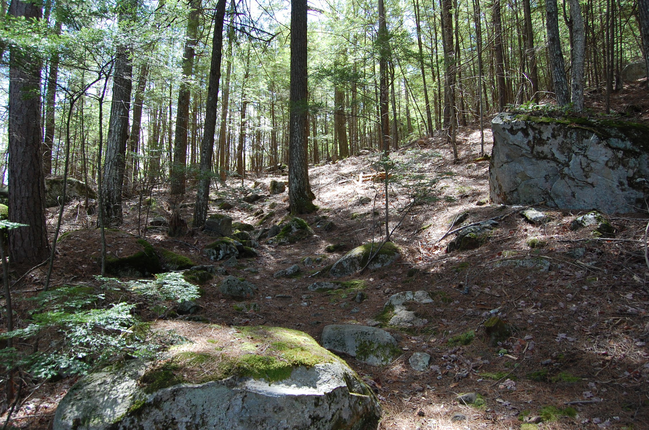 230 Porcupine Ridge Road Mount Vernon, ME 04352 - Photo 45 of 62 DSC_7687