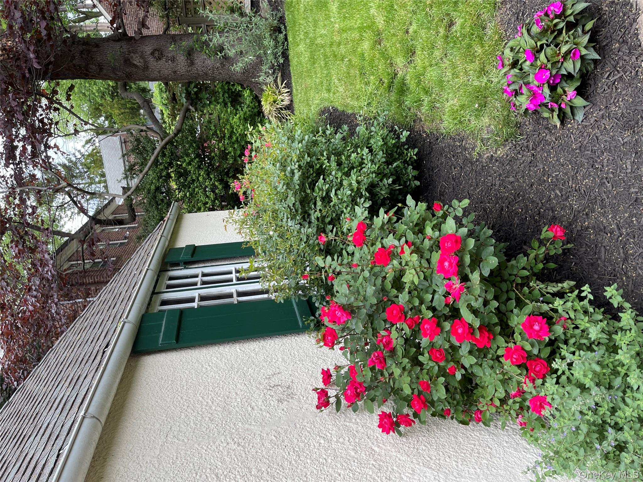 64 Maple Drive Great Neck, NY 11021 - Photo 3 of 16