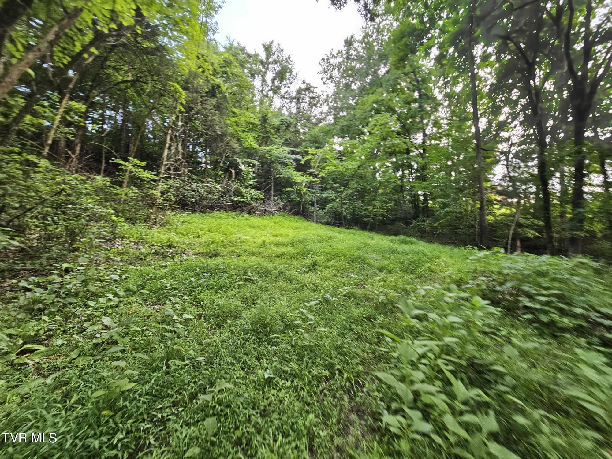 2264 Devault Bridge Road Piney Flats, TN 37686 - Photo 4 of 29 60eb31f9-e7cb-43e5-b07b-7fceb2c10025