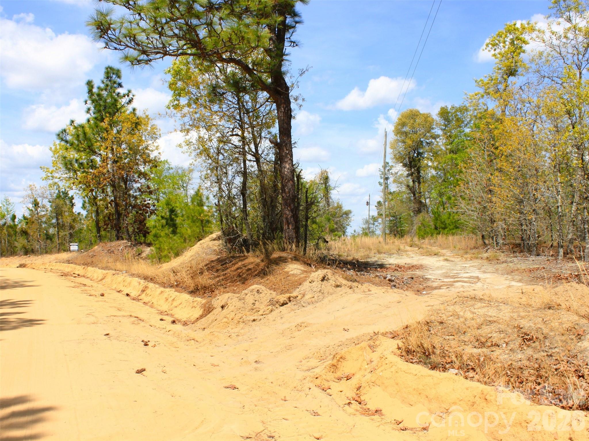 0 McQueen Road Patrick, SC 29584 - Photo 20 of 25