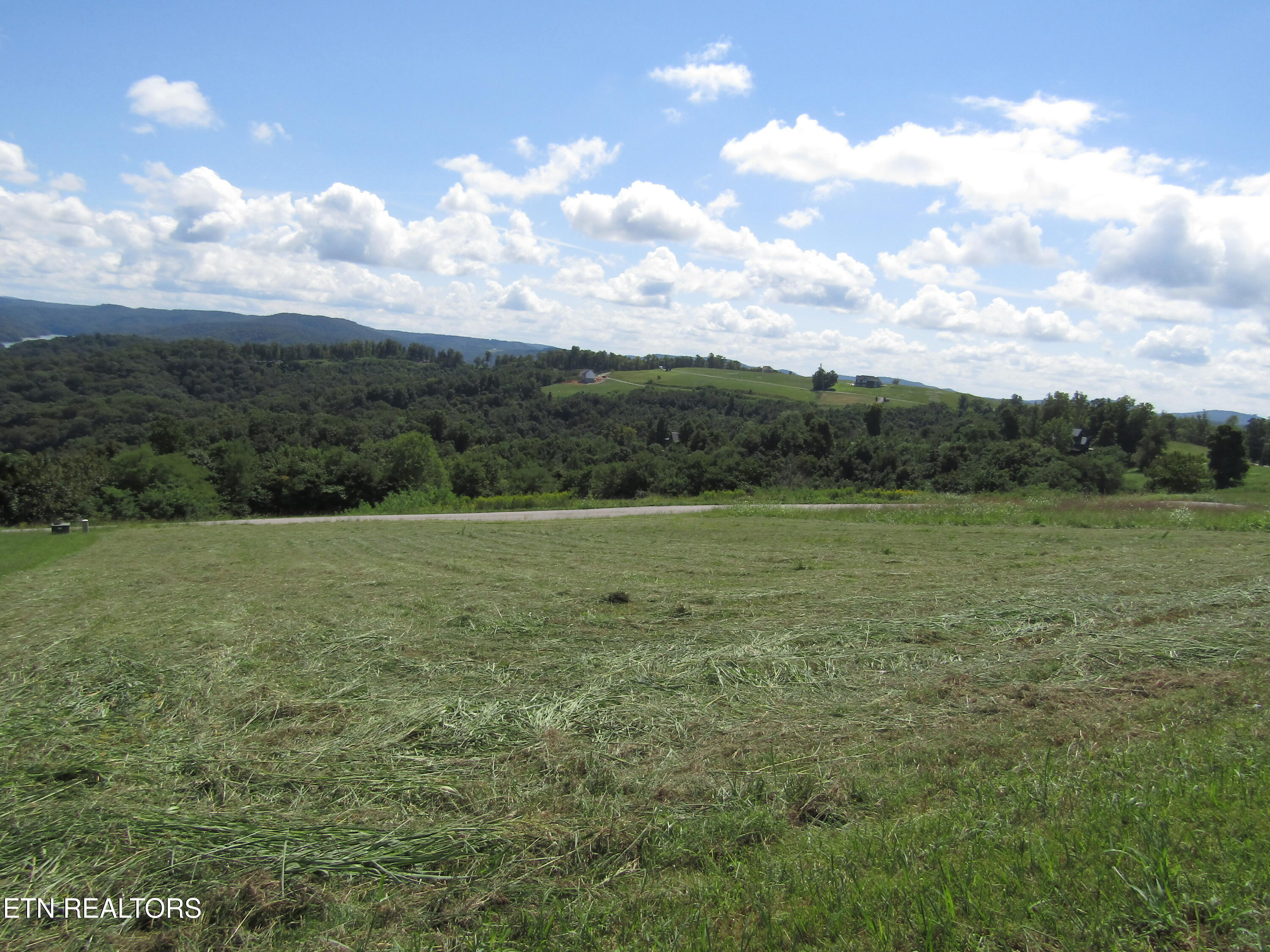 48 East Swan Ridge Road Celina, TN 38551 - Photo 13 of 27 IMG_9407