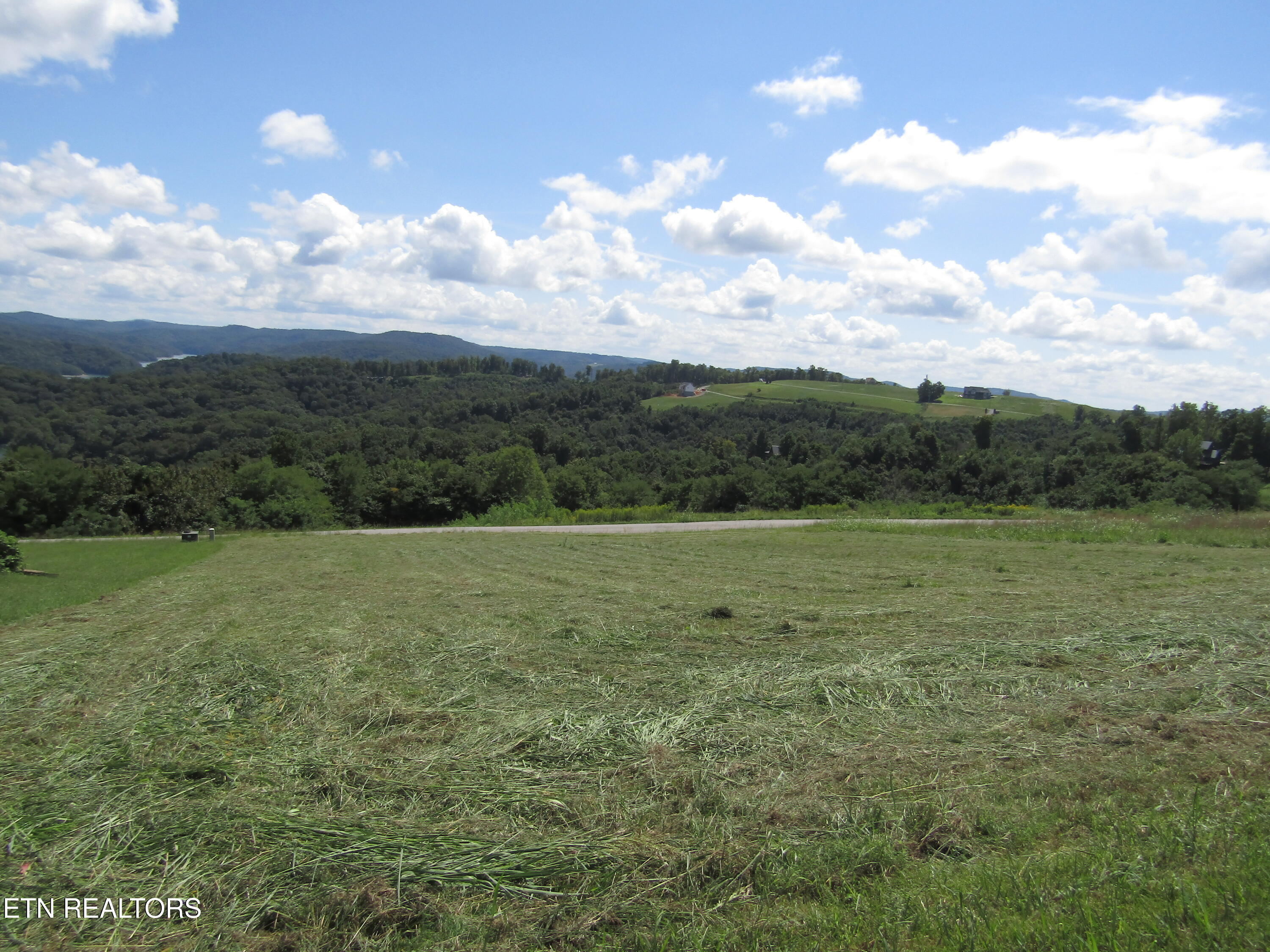 48 East Swan Ridge Road Celina, TN 38551 - Photo 14 of 27 IMG_9408