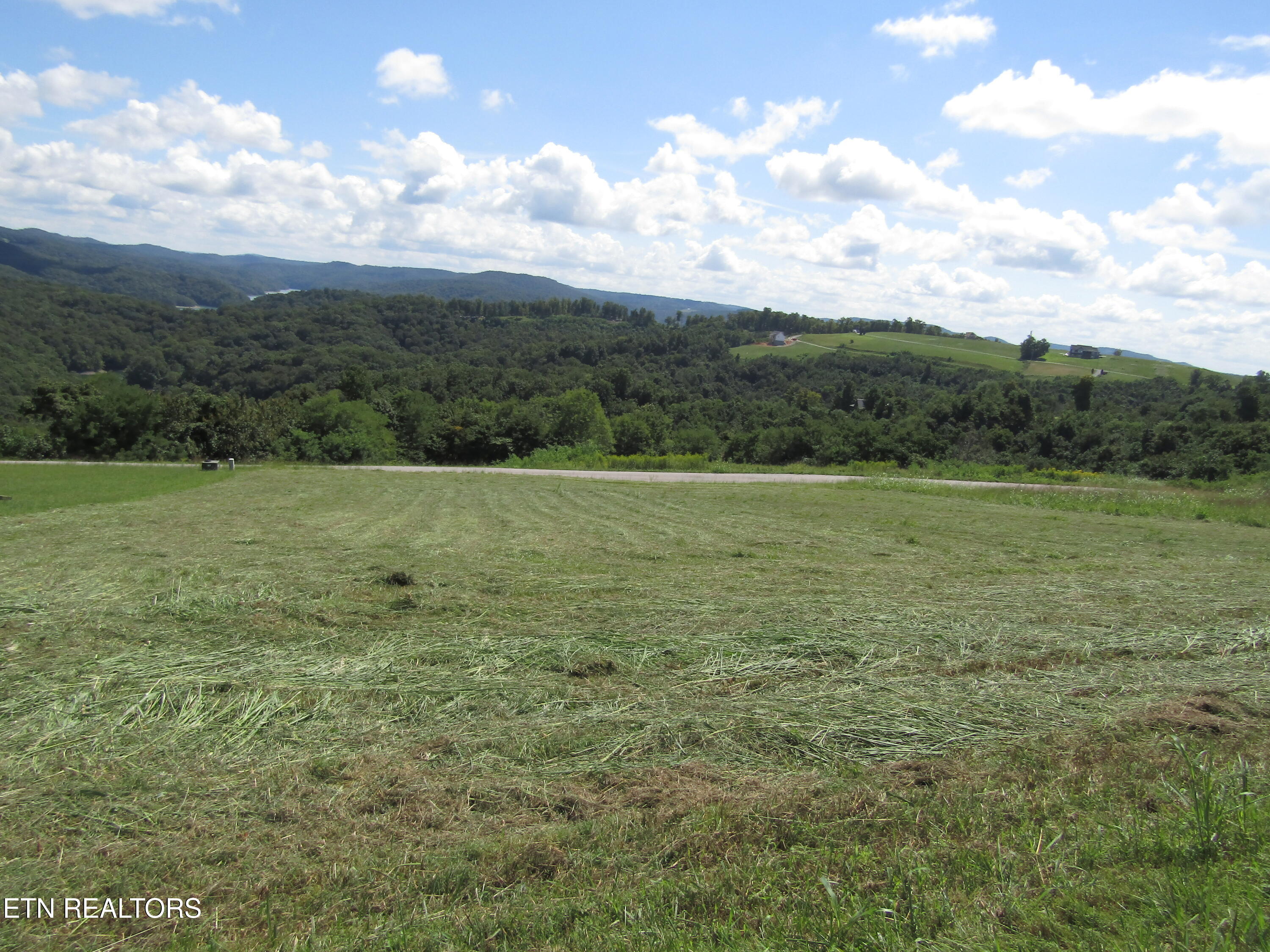 48 East Swan Ridge Road Celina, TN 38551 - Photo 15 of 27 IMG_9409