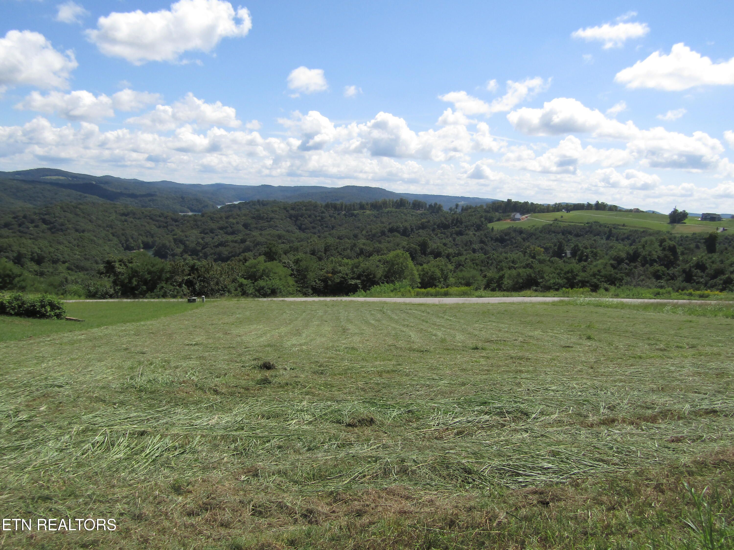 48 East Swan Ridge Road Celina, TN 38551 - Photo 16 of 27 IMG_9410