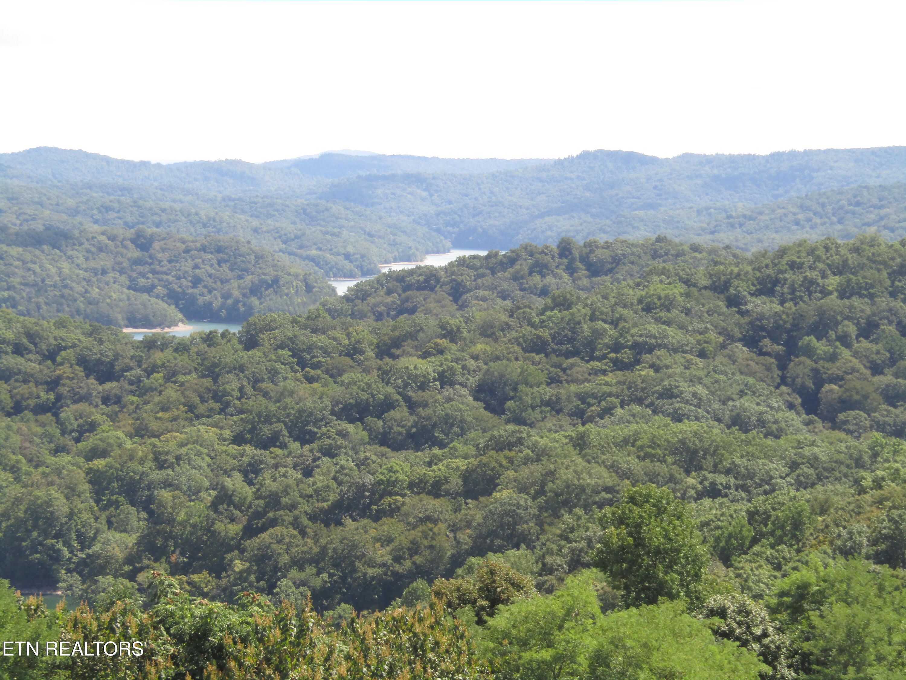 48 East Swan Ridge Road Celina, TN 38551 - Photo 17 of 27 IMG_9411