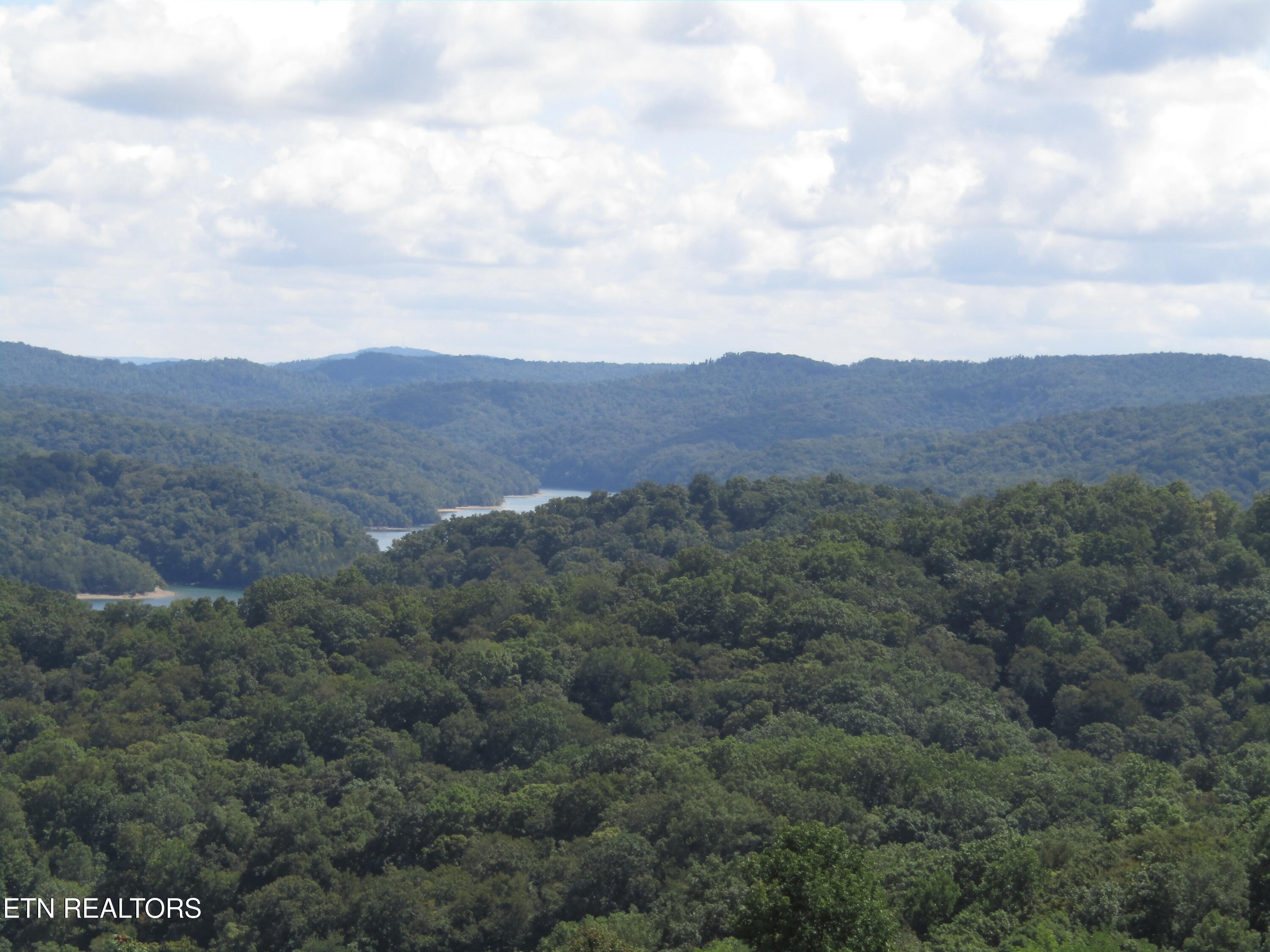 48 East Swan Ridge Road Celina, TN 38551 - Photo 18 of 27 IMG_9412