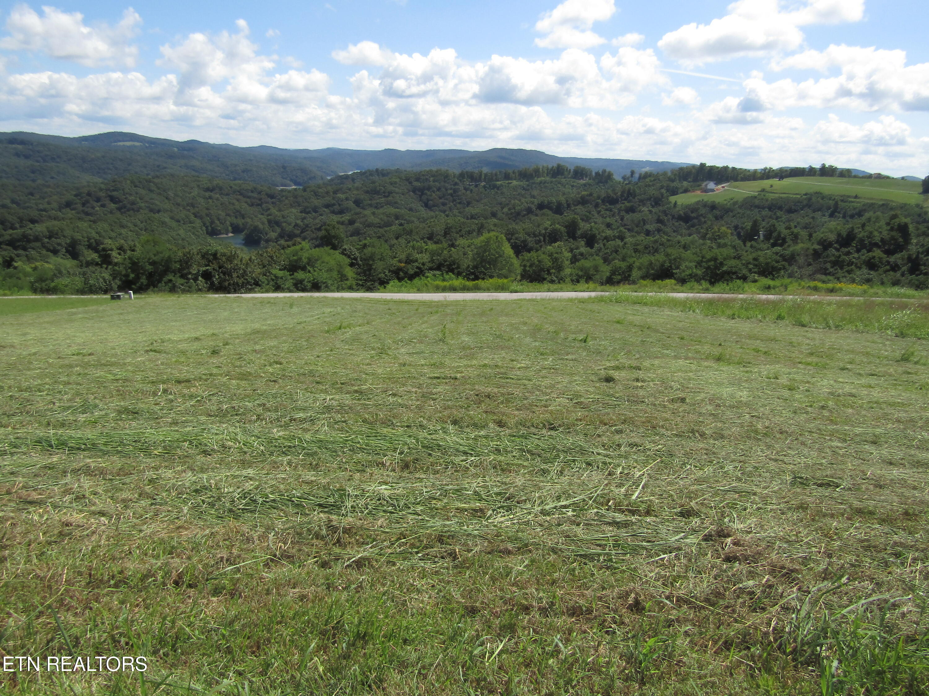 48 East Swan Ridge Road Celina, TN 38551 - Photo 2 of 27 IMG_9394