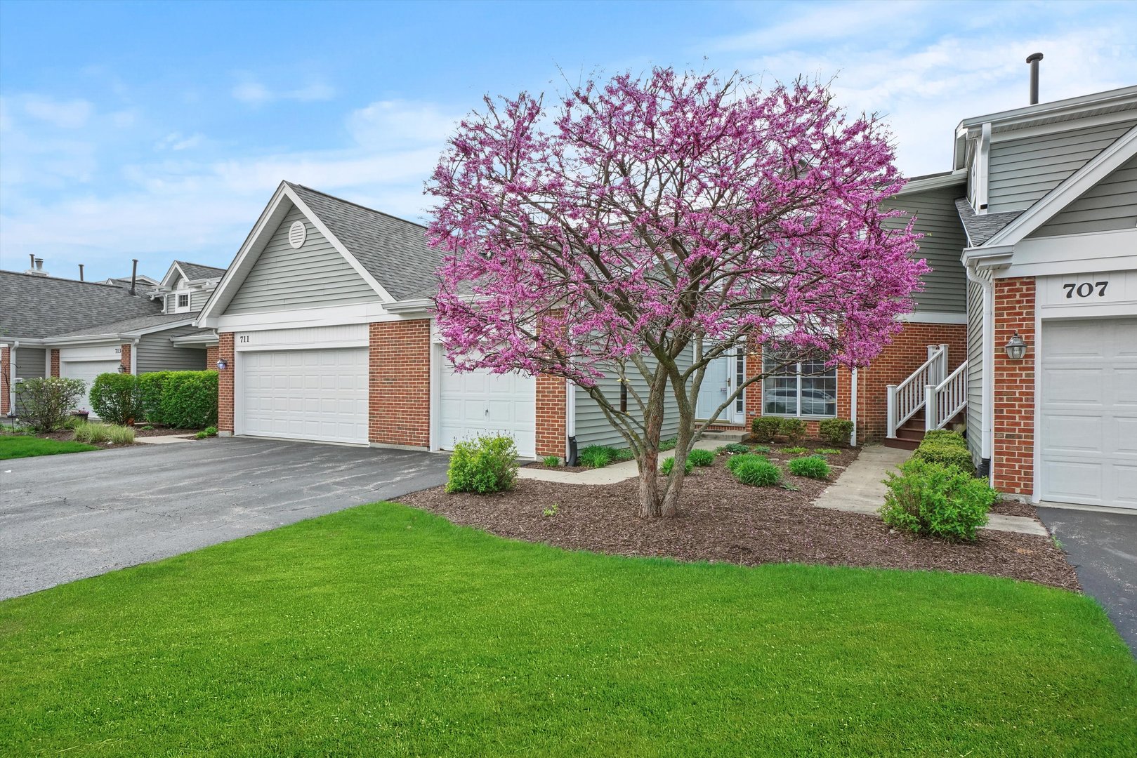 709 Daybreak Lane Carol Stream, IL 60188 - Photo 29 of 30 a front view of a house with a garden and trees