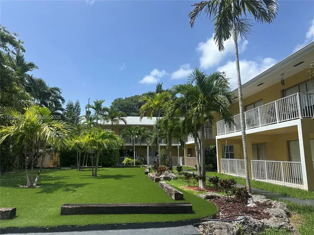 a view of a park with palm trees