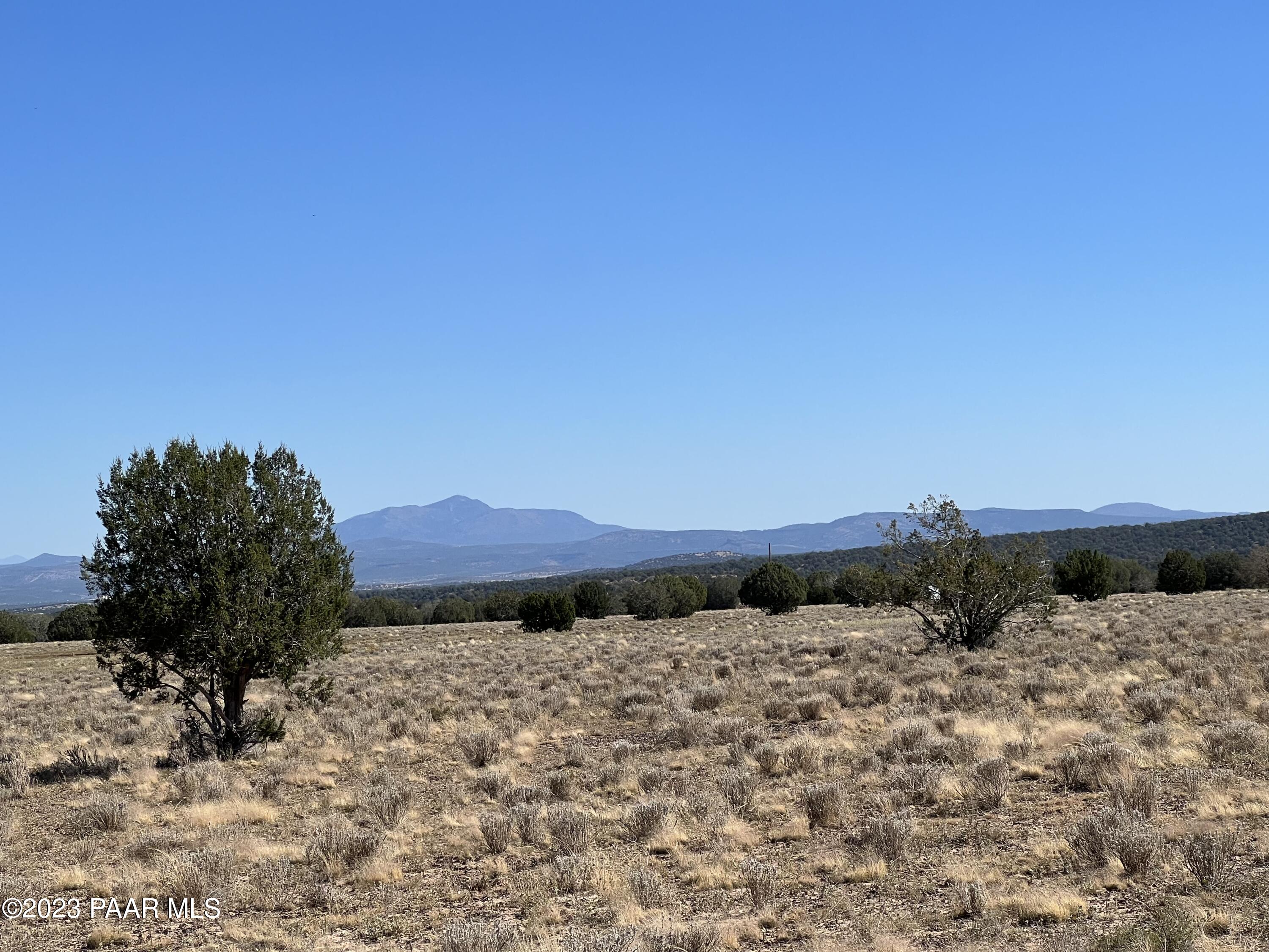 135 Northwest Boars Breath Road Ash Fork, AZ 86320 - Photo 3 of 7 a view of a yard
