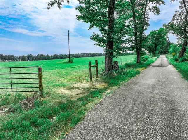 a view of a park with large trees