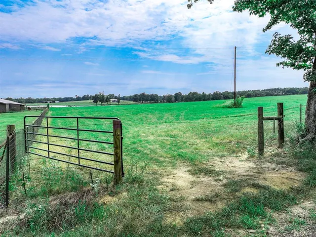 a view of a garden with a bench in the background