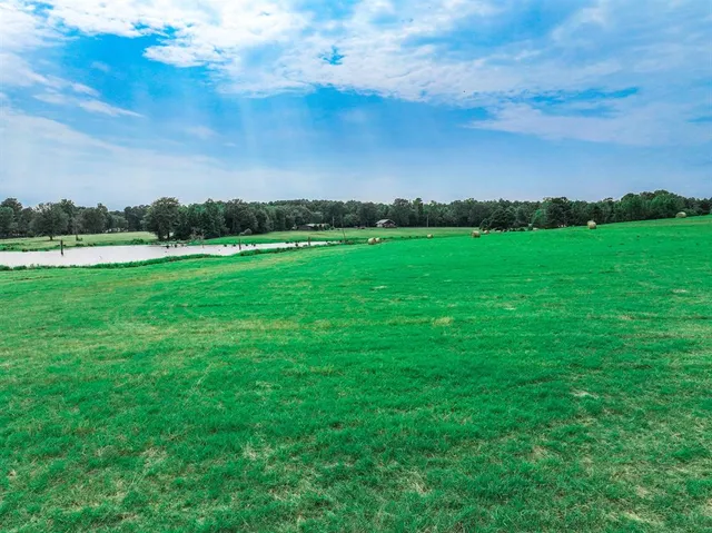 a view of field with ocean