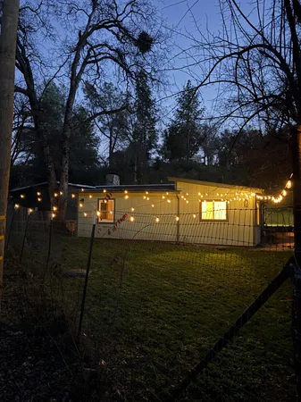 a view of a yard