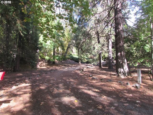 2508 Gazley Road Myrtle Creek, OR 97457 - Photo 6 of 25 Gallery Image 6