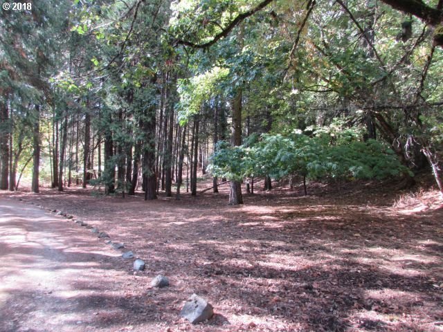 2508 Gazley Road Myrtle Creek, OR 97457 - Photo 7 of 25 Gallery Image 7