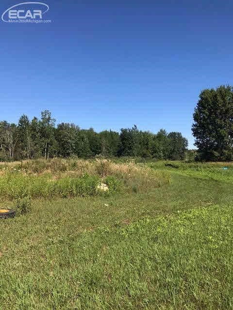 3696 Tyrrell Road Owosso, MI 48867 - Photo 7 of 17