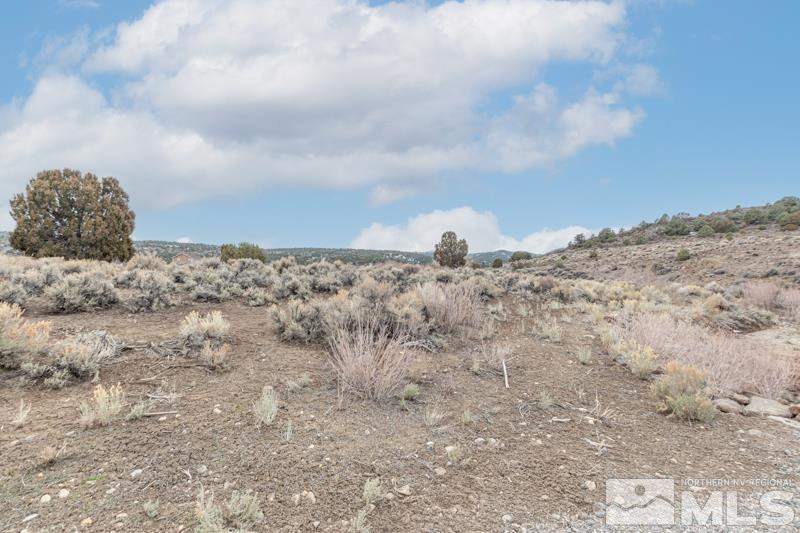 2900 Lousetown Road Reno, NV 89521 - Photo 8 of 9 a view of ocean