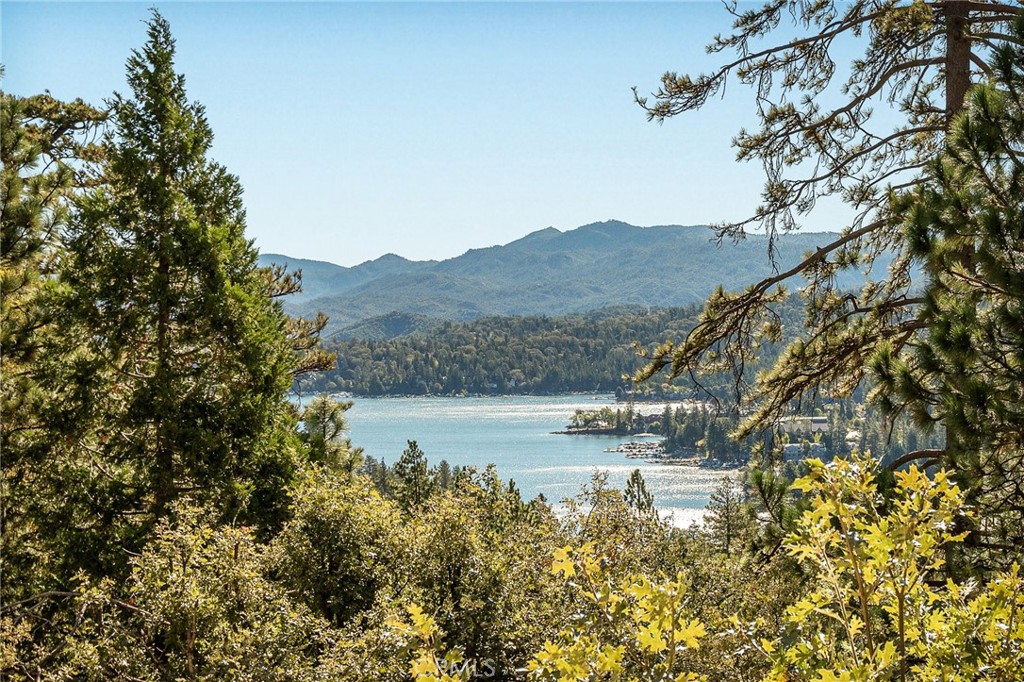 201 Grizzly Road Lake Arrowhead, CA 92352 - Photo 2 of 52 Gallery Image 2
