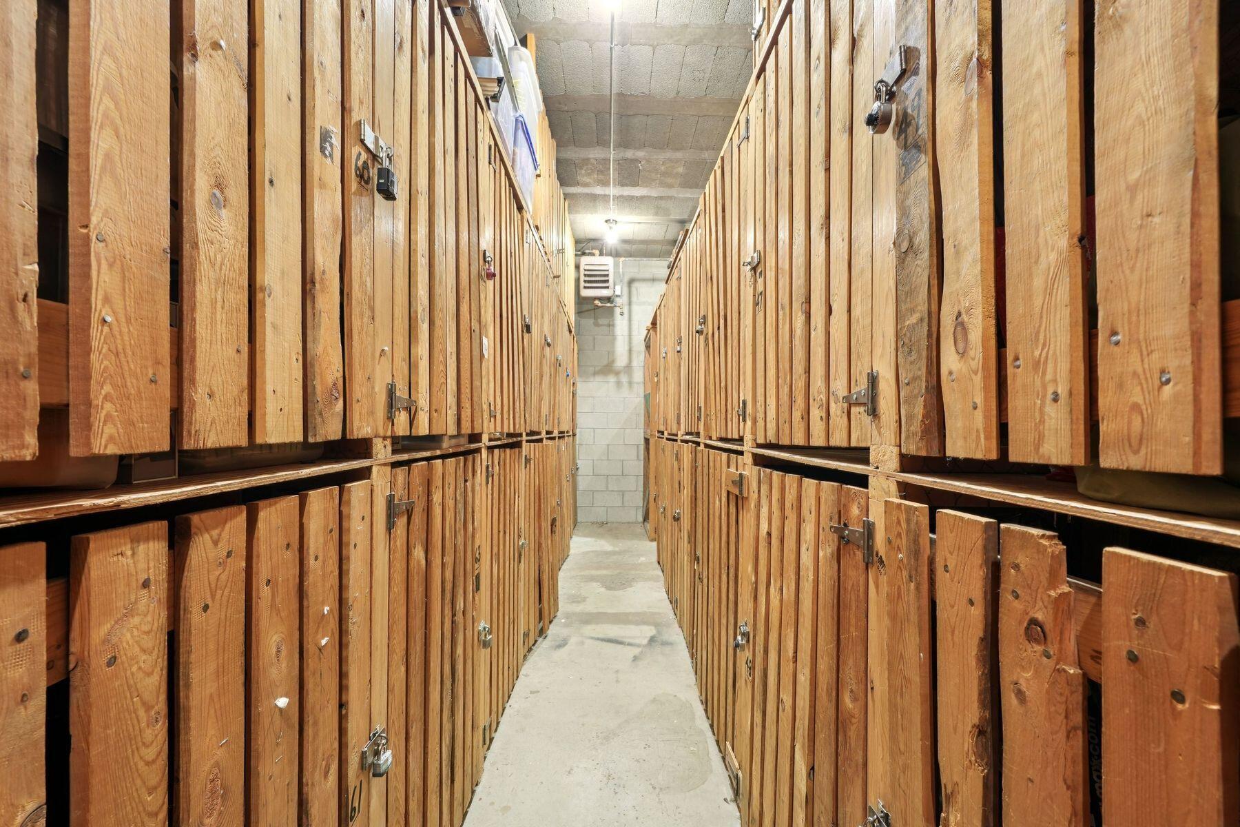1707 North Prospect Avenue, Unit 6E Milwaukee, WI 53202 - Photo 25 of 29 Storage Locker Included