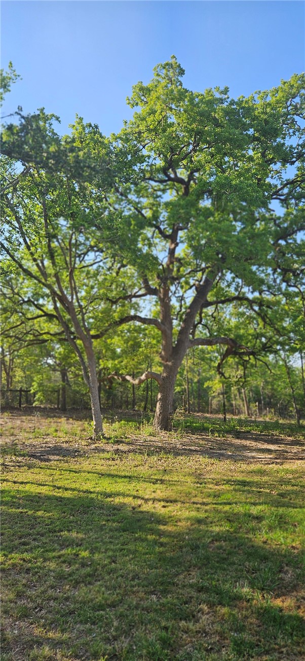 6538 Olympia Buddy Road College Station, TX 77845 - Photo 50 of 50 a view of a large body of water with a building in the background