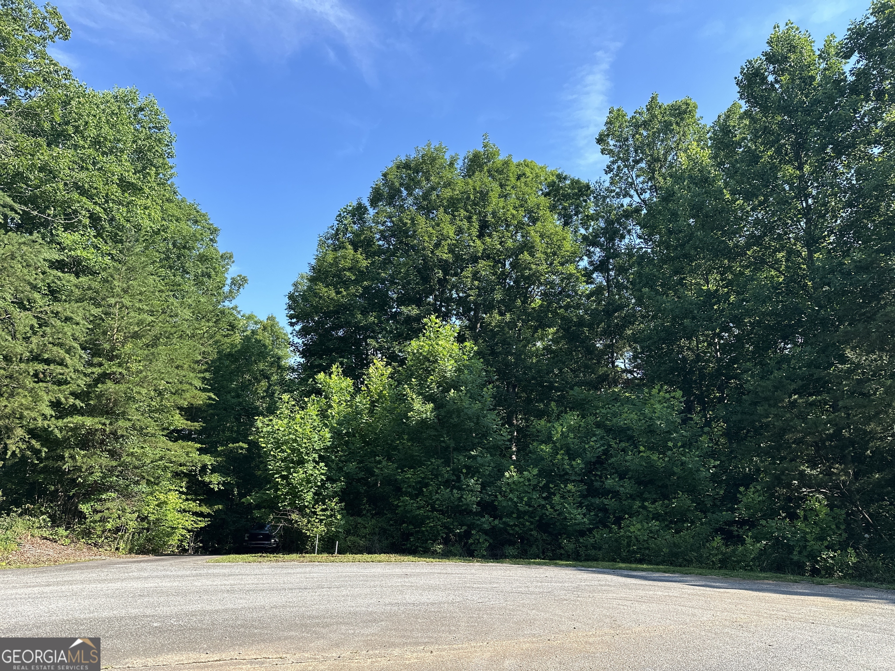 10 Clearview Drive Cleveland, GA 30528 - Photo 2 of 14
