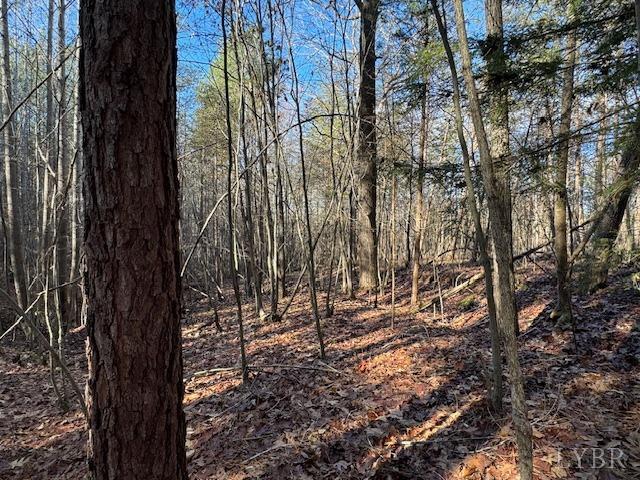 -17 Acres Spg Grv Road Spout Spring, VA 24593 - Photo 12 of 30 a view of outdoor space with lots of trees