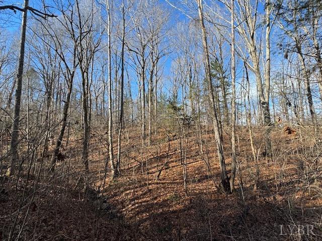 -17 Acres Spg Grv Road Spout Spring, VA 24593 - Photo 17 of 30 a view of a yard with trees and wooden fence