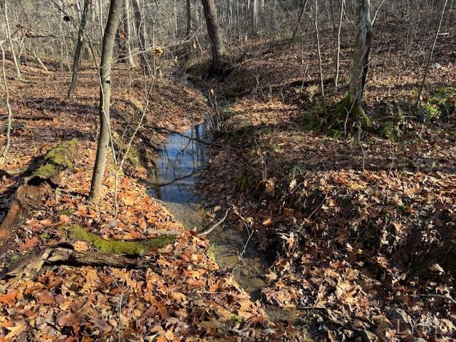 -17 Acres Spg Grv Road Spout Spring, VA 24593 - Photo 18 of 30 a view of outside area