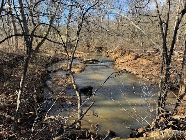 -17 Acres Spg Grv Road Spout Spring, VA 24593 - Photo 2 of 30 a view of a yard of the tree
