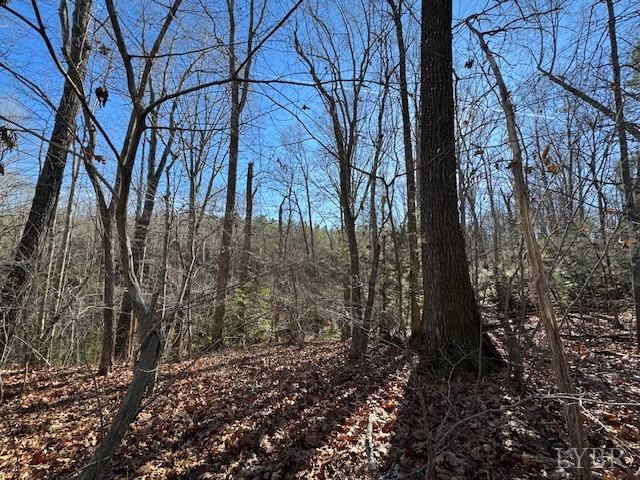 -17 Acres Spg Grv Road Spout Spring, VA 24593 - Photo 22 of 30 a backyard of a house with lots of green space