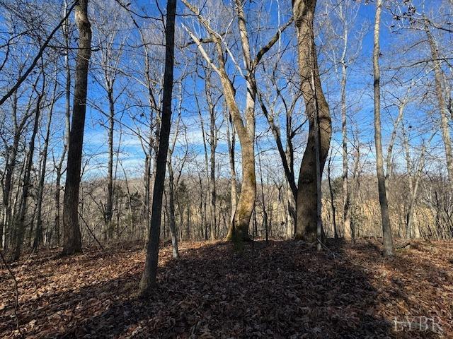 -17 Acres Spg Grv Road Spout Spring, VA 24593 - Photo 23 of 30 a backyard of a house with lots of green space