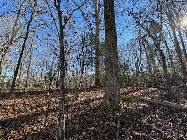 -17 Acres Spg Grv Road Spout Spring, VA 24593 - Photo 24 of 30 a backyard of a house with lots of green space
