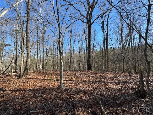 -17 Acres Spg Grv Road Spout Spring, VA 24593 - Photo 27 of 30 a big yard with lots of green space